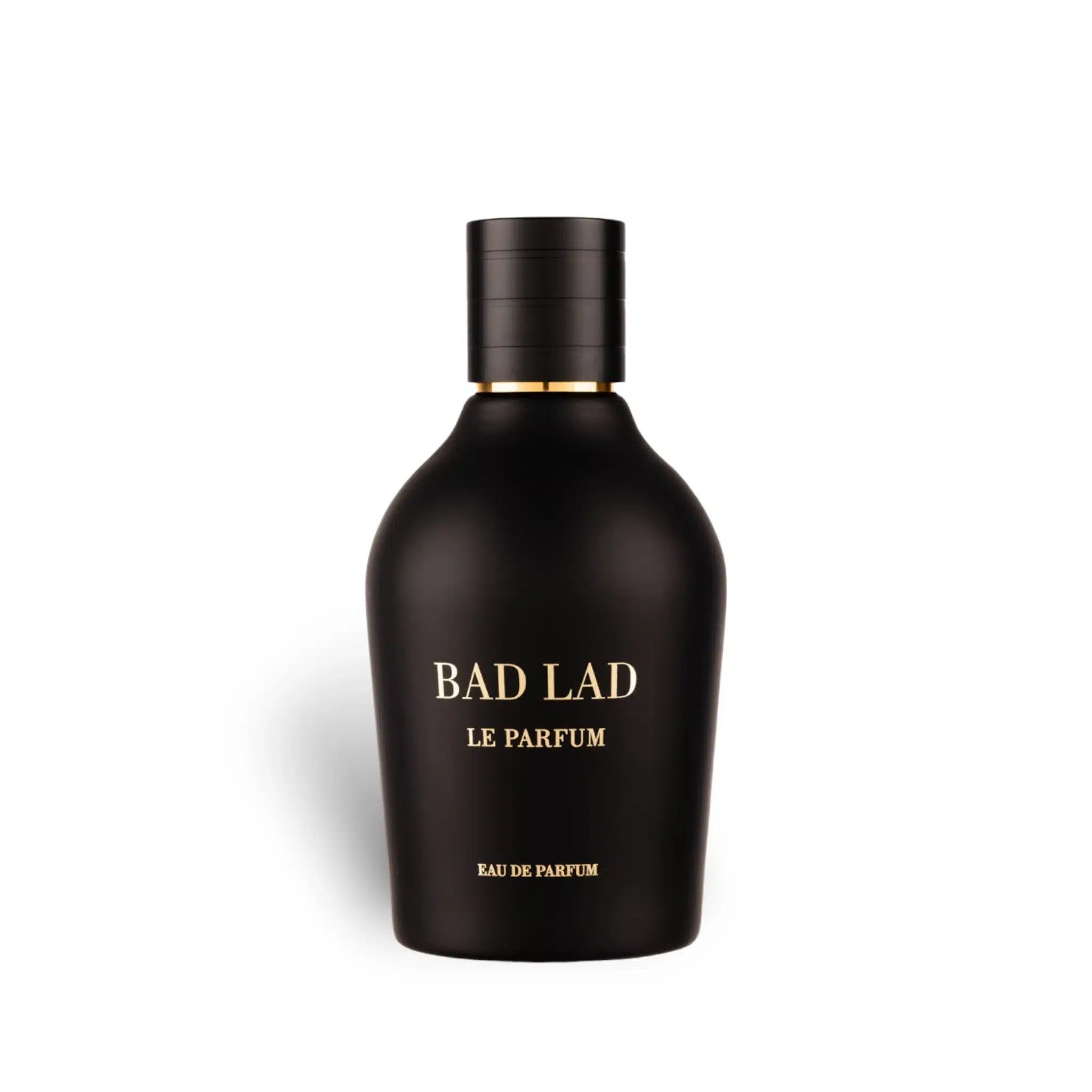 Bad Lad Le Parfum 100ml EDP by Fragrance World