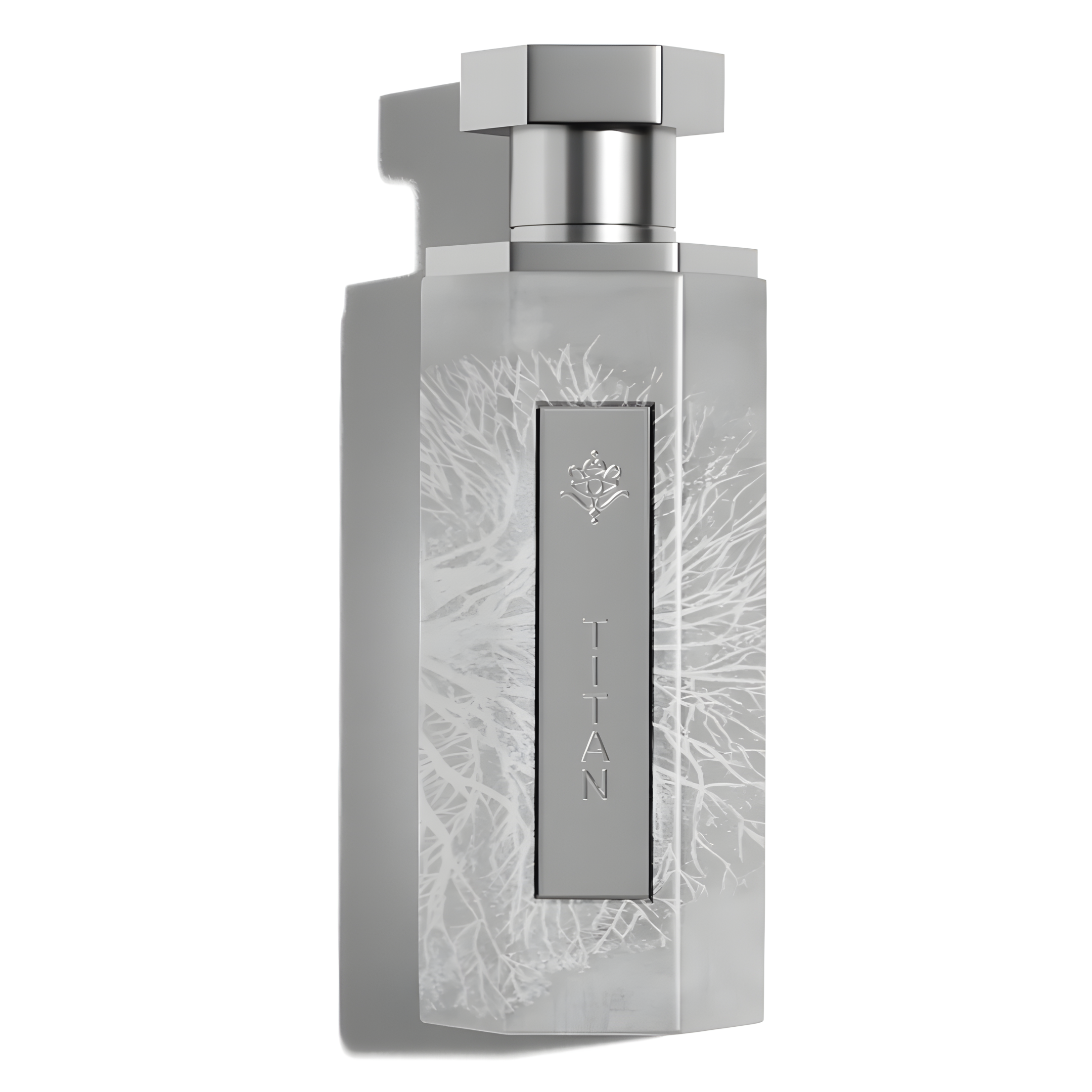 Reef Titan Perfume 100ml EDP Reef