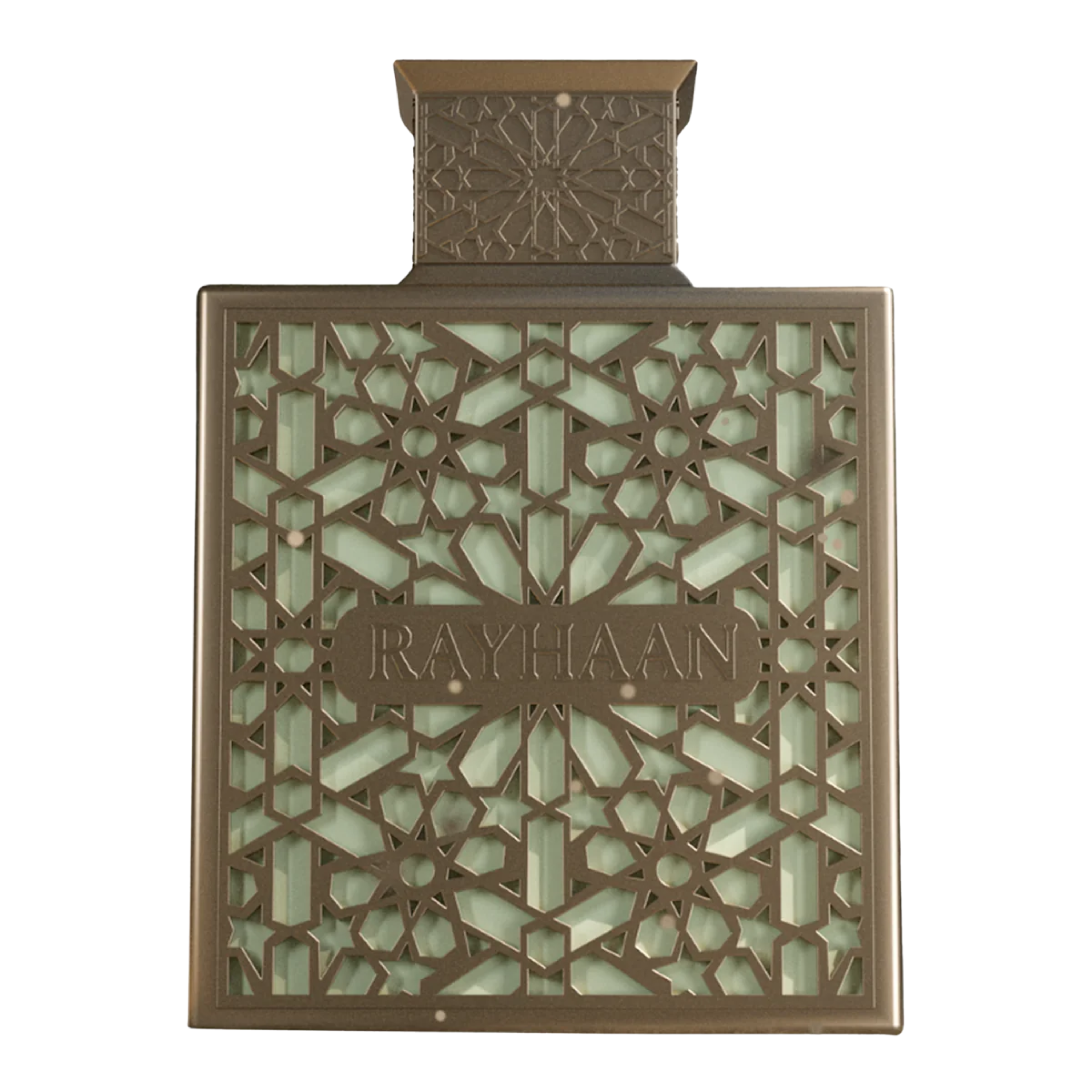 Rayhaan Terra Perfume 100ml EDP for Men Fragrance