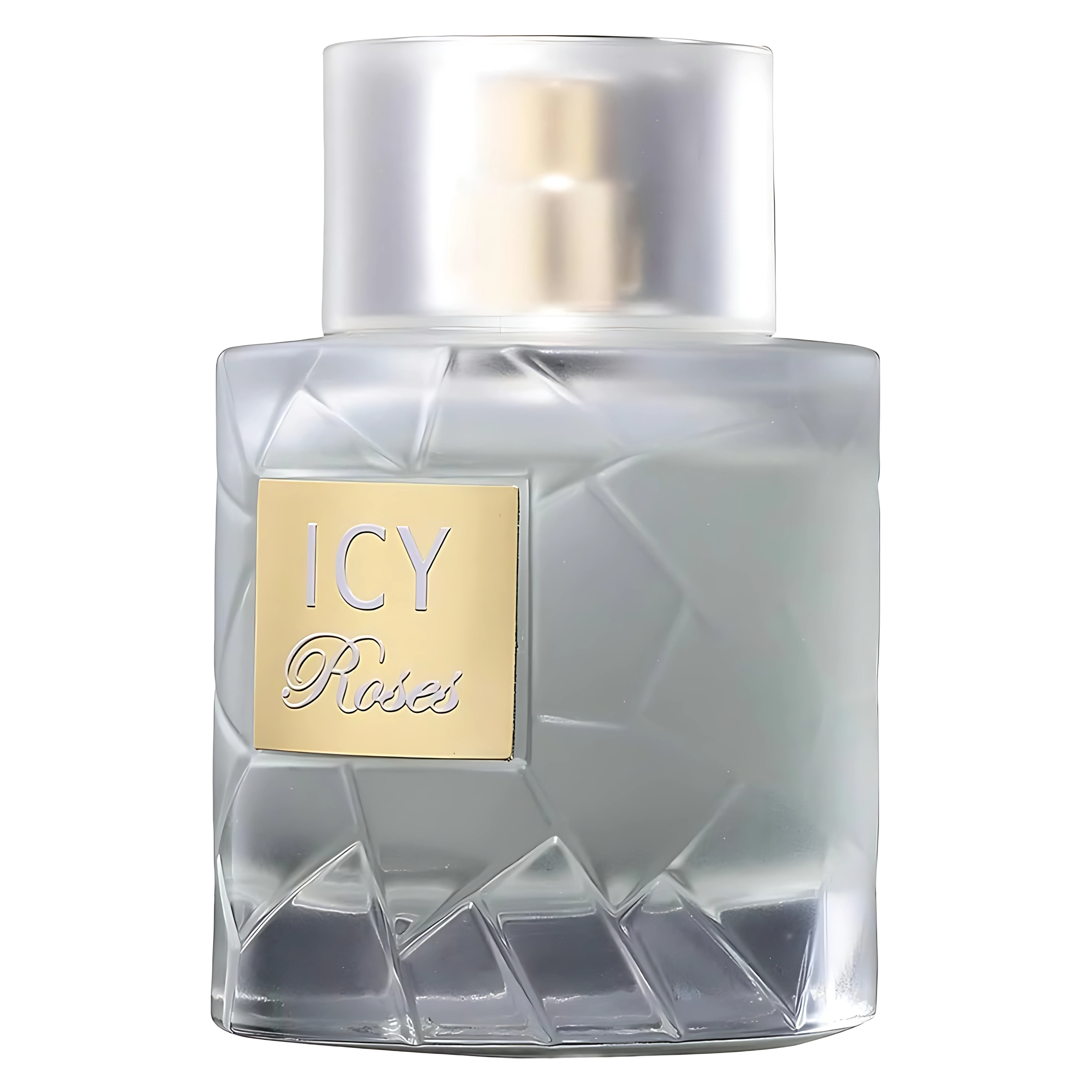 Icy Roses Perfume 100ml EDP Fragrance World