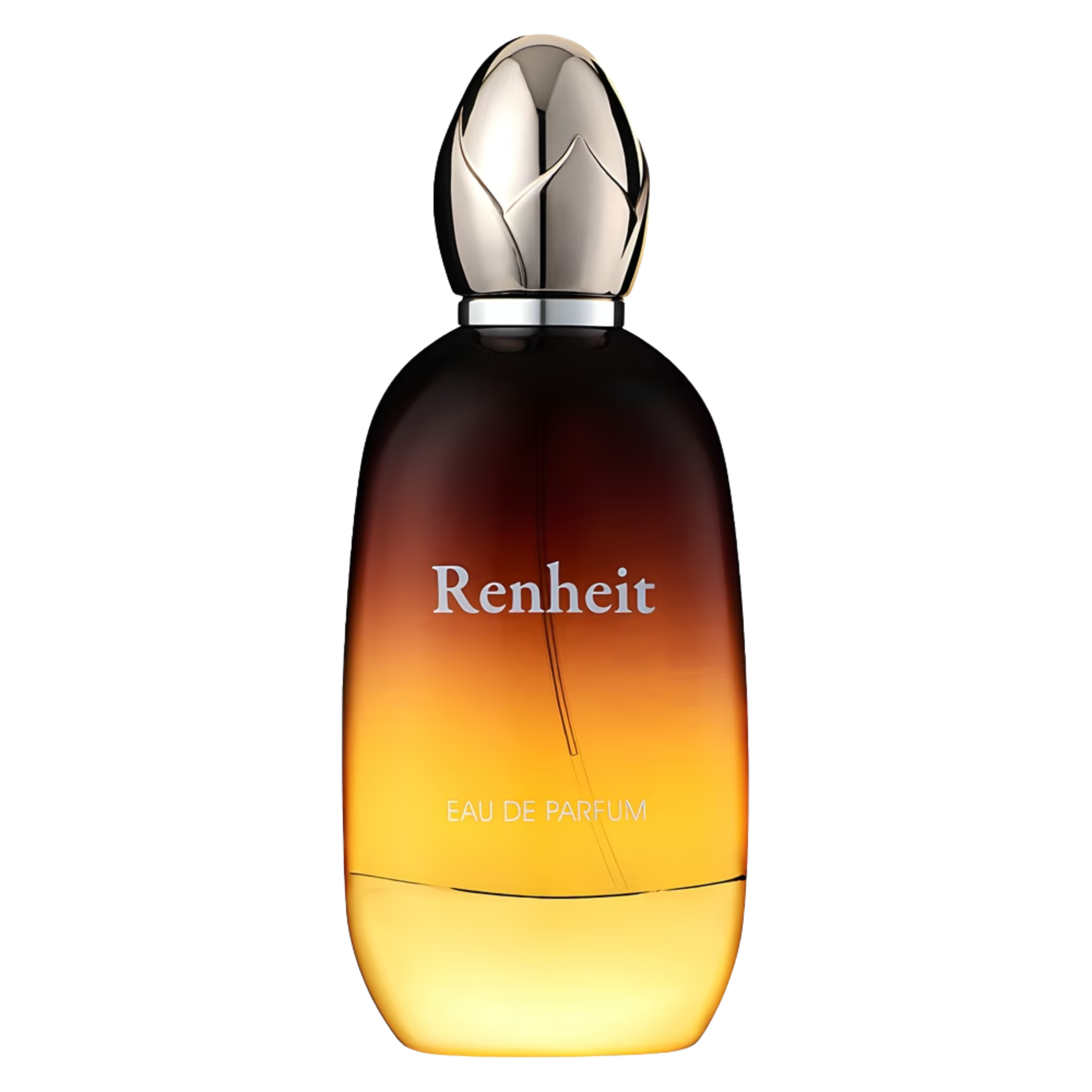 Renheit Perfume 100ml EDP Fragrance World